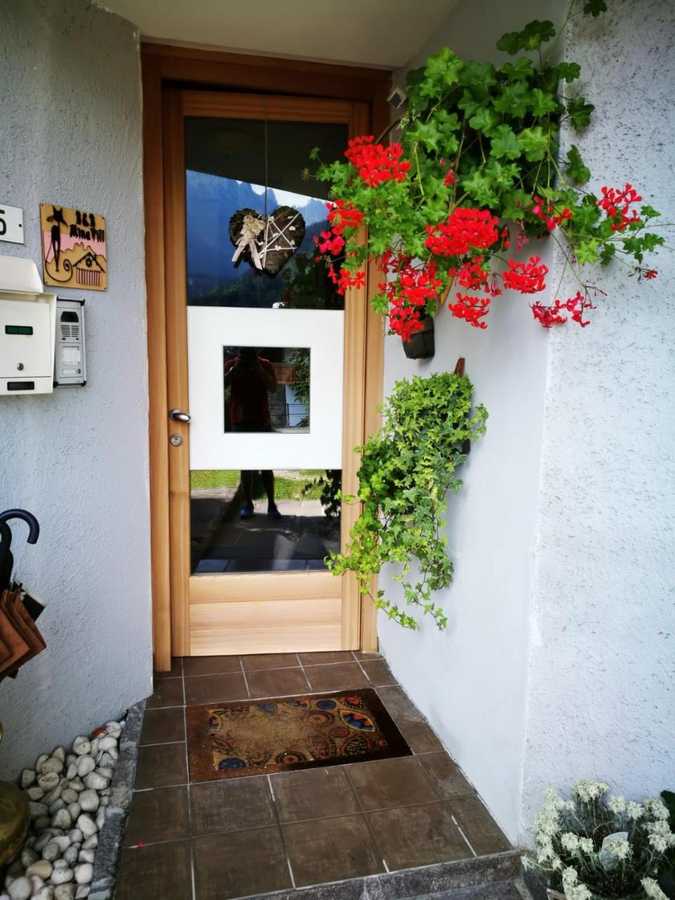 Minavill La Casa Sulle Dolomiti Bed & Breakfast Fiera Di Primiero Dış mekan fotoğraf