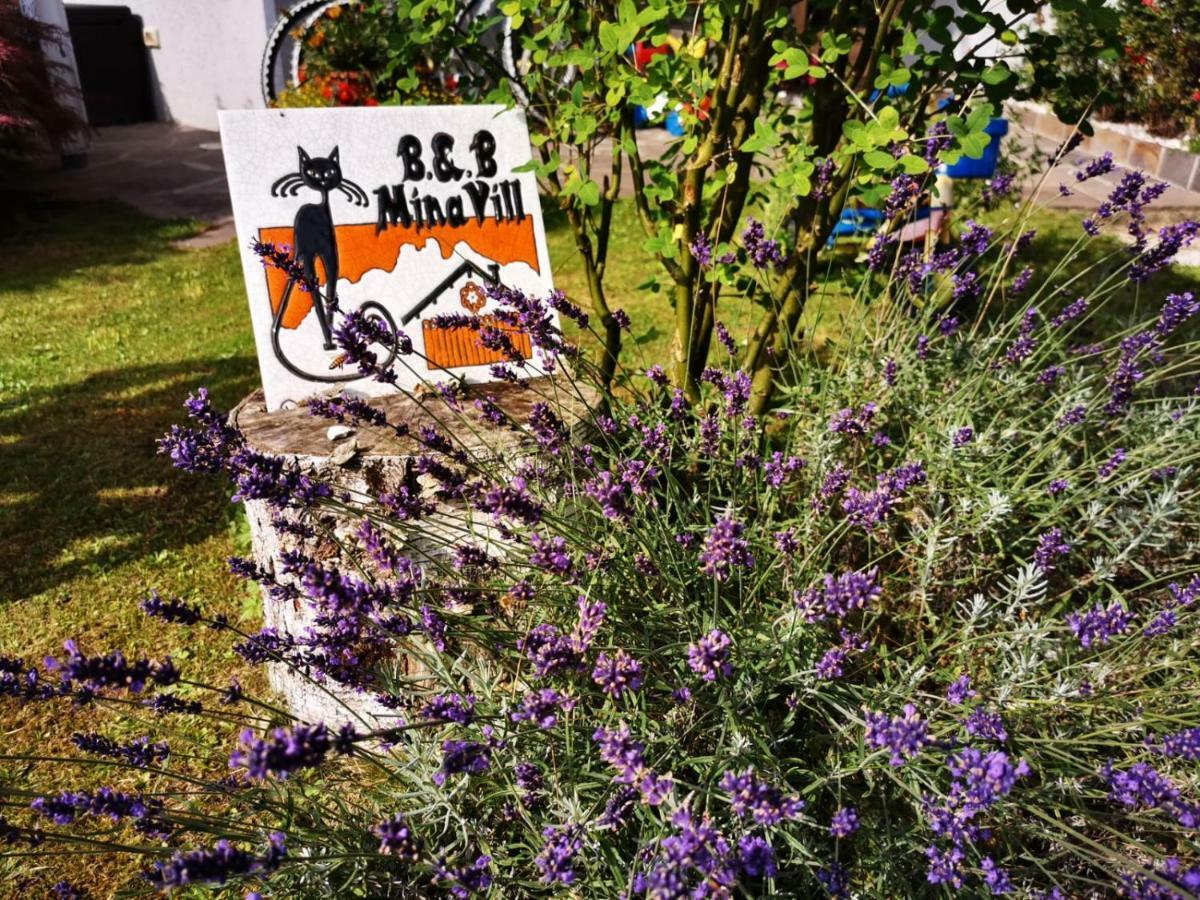 Minavill La Casa Sulle Dolomiti Bed & Breakfast Fiera Di Primiero Dış mekan fotoğraf